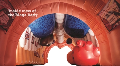 inflatable replica of the human body 