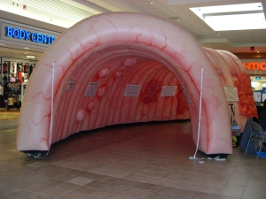 inflatable colon