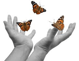 hand releasing butterflies